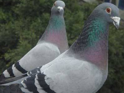 �ɸ��л�˵���������������ǹؼ�