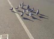 ר�⣺�������Ȥ��