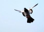 ������Ե��һ�����������һ��ø���