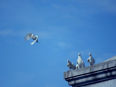 ѵ���иУ��ȸ���һ������