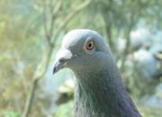 ��ҹ���ߣ�