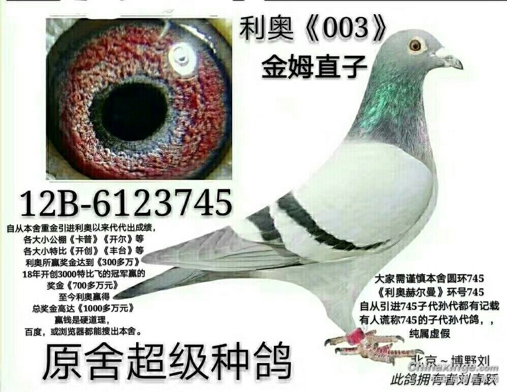 ���ºն���˹003��ϵ����