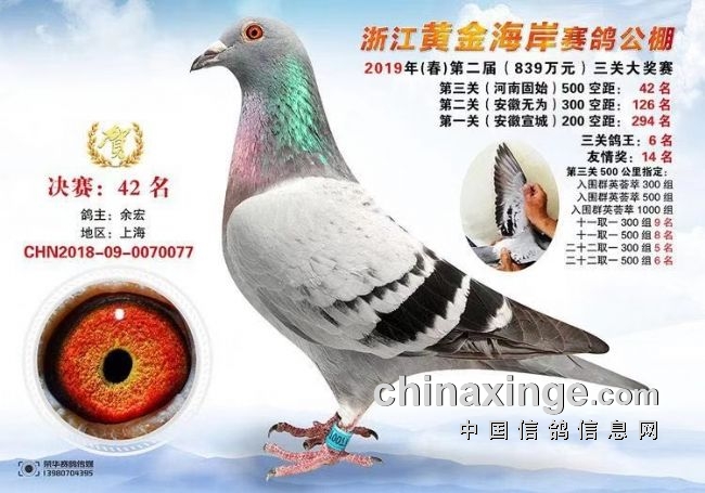 ���Ϻ���꣺������Ҫ��������Ҫ�ǻ�