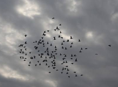 ����·ѵ��һǹ������ѡ�� ѹ��ѵ��