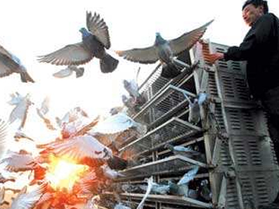 Ϊʲô��רע�����ȴû��רע������