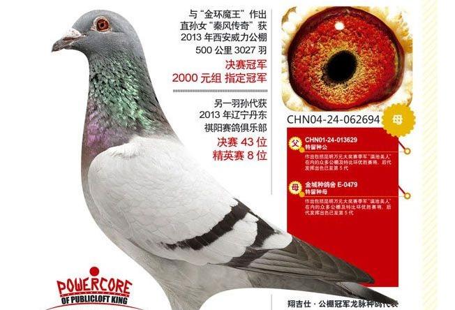 ÿ��һ�룺����5����Ӣ�ġ�������ˡ�