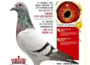 ÿ��һ�룺����5����Ӣ�ġ�������ˡ�
