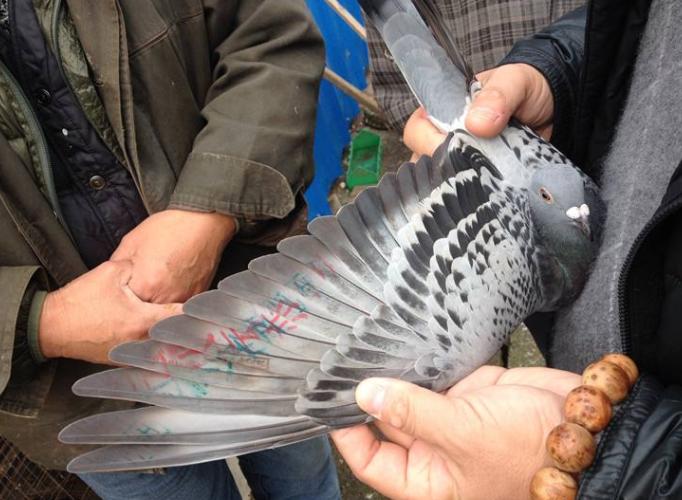 ûаܼҵĸ ֻаܼҵˣ