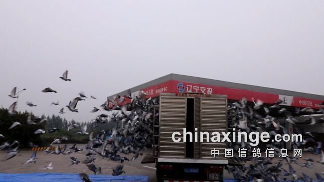 ���ķ��� ·�ڽ��� ��ǧ���ֲ��ٶ���ʵ��