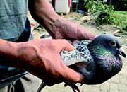 ��ᱻ�����ҵ�ˮ�� ���Ĵ���ȸ�Ѱ��