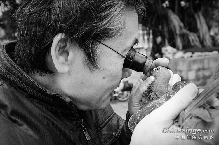 Ϊʲô���ڿ����۵�Խ��Խ�٣�