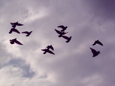 ������ҷ� ӭ�������