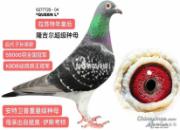 ��������¡��������������Ů����