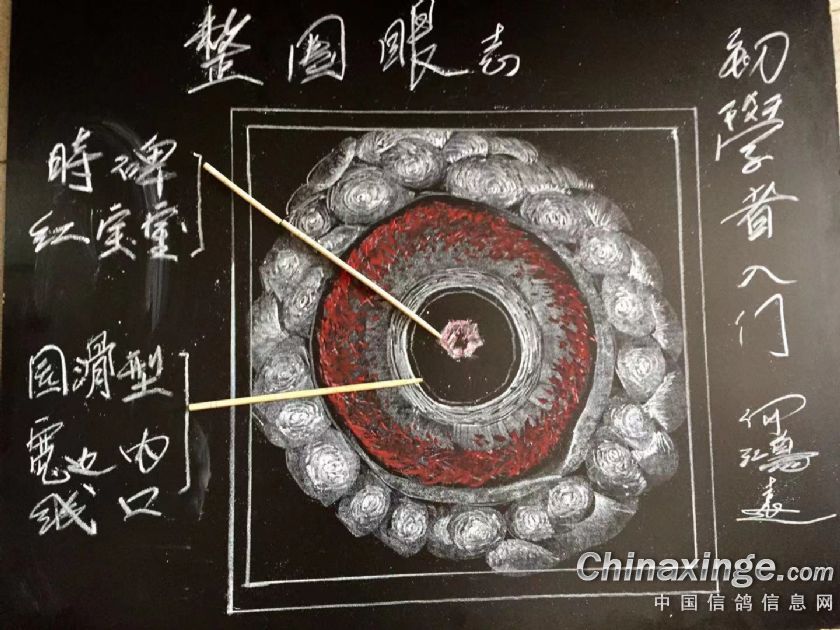 ���۽��� �¸��ѿ���ȡ������������