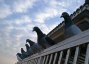 �����µĴ�׻����Ÿ�ҽ���Ƿ���У�