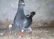 ��Ȼ����ȱֺ�����ܷ�����رȻ���