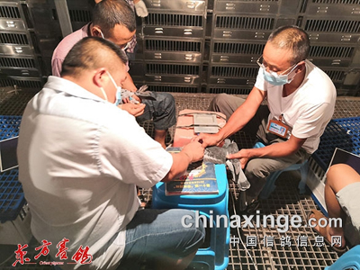 ɽ��·�������� �ø�鳲�糱ӿ