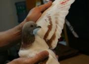 ����عˣ�07�����2700����ھ���