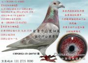 �������� �ؼ�ʱ��ȴ�����ӵġ��϶��족