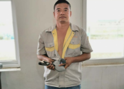 �������ҵĸ磡�������������ս���κ��Է�۰�ǰ��