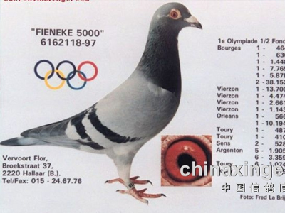 �������롪���Ῠ5000��ͼ��