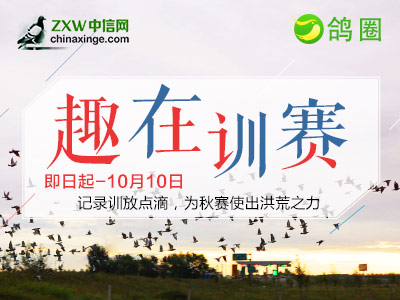 趣在训赛：记录训赛点滴 为秋赛使出洪荒之力