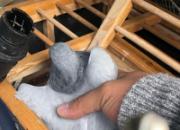 ���Ѷ��裺ר����һ�𰮸���ѵ50����