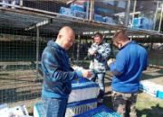 ֱ�������ִ��ź͹���̽���ֳ�