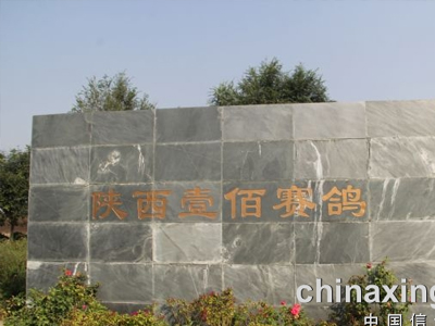 ����Ҽ�۹������̽���ٴ��¸߷壨ͼ��