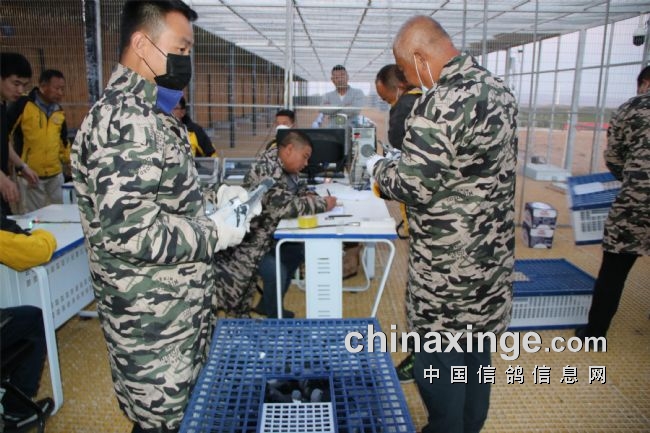 ���ź죡�����쾰ɽ�׽����﹤���淶����