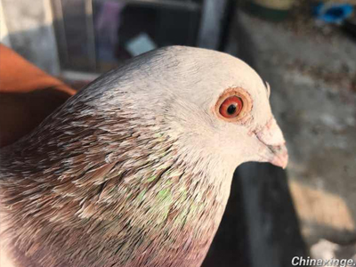 ������ܻ���˹��˹��