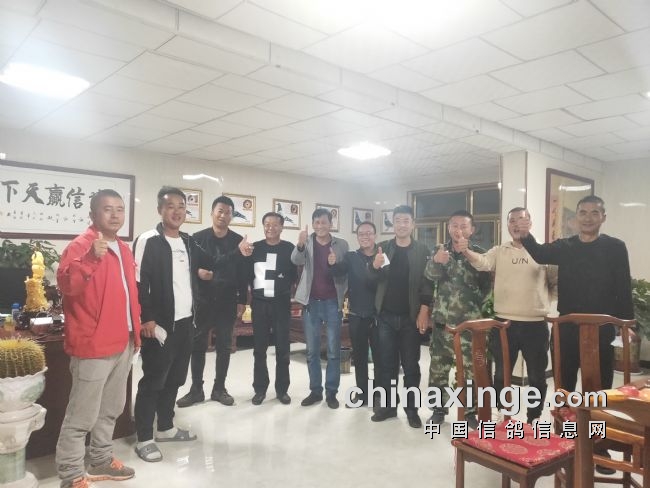 ���Ŀ����߾��ֲ��ʸ����鳲�ʳ���99%��ͼ��