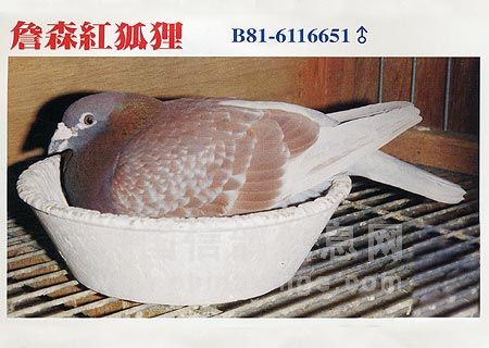 ÿ��һ�룺������忪ɽ���桰����ꡱ