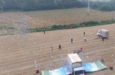 �ɸ봫˵���ᵶ���� �����޵� ��Դ�ʸ���