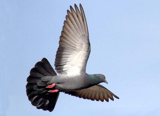 �شű�Ӱ������ѵ���������໹��Ϲ���