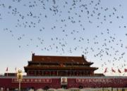 ������й�����70���� �ŷɺ�ƽ��ף����� 