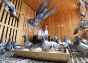 �����ҵĸ������찲�Ź㳡��