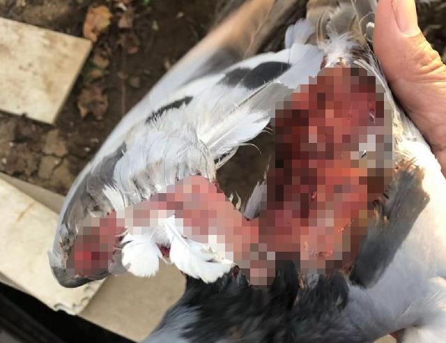 �����ع飡ƾ�ż�ǿ�������ص��ҵİ���