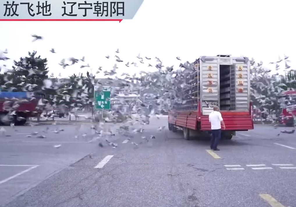 �ɸ봫˵��Ϊ��׿Խ����ǰ�� �������ϵڶ���