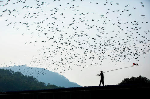 æµ��������