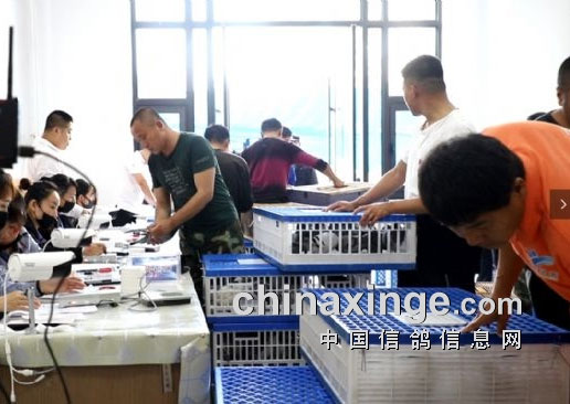 ������������ׯ �����ر��ٷ���