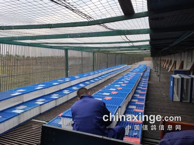 ���ĵ�Ӯ����������̽�Ӽ�ʵ��ͼ��