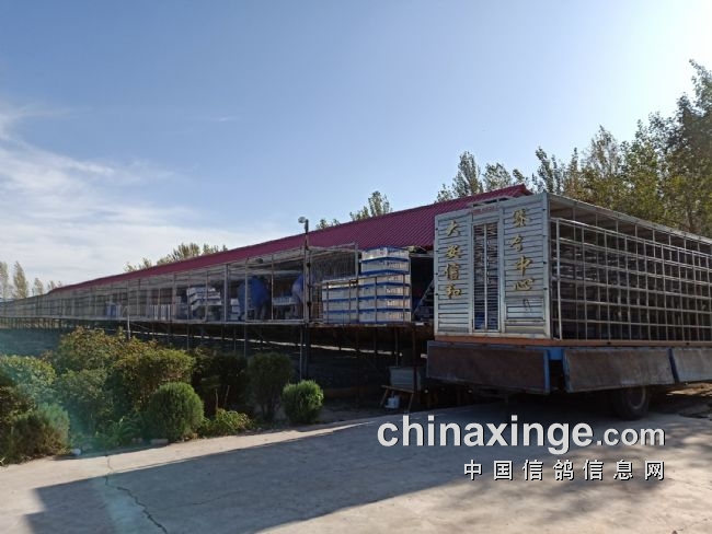 ���ִ��ź͹����һ��300���Ｏ��7688��