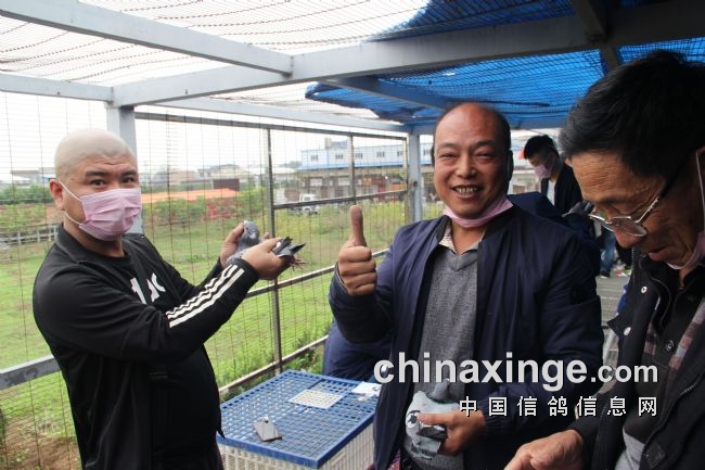 ���������������̽��������þ��ʣ�ͼ��