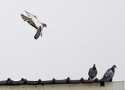 ������������ȥ��򵱽���