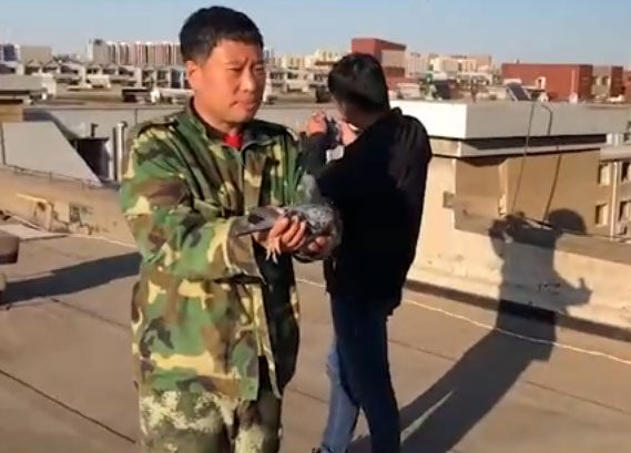 ��ʢ���������λ� �������������Ի�