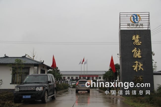 ��ʱ���¾��䣺������������̽�����ǿ�ܽ���