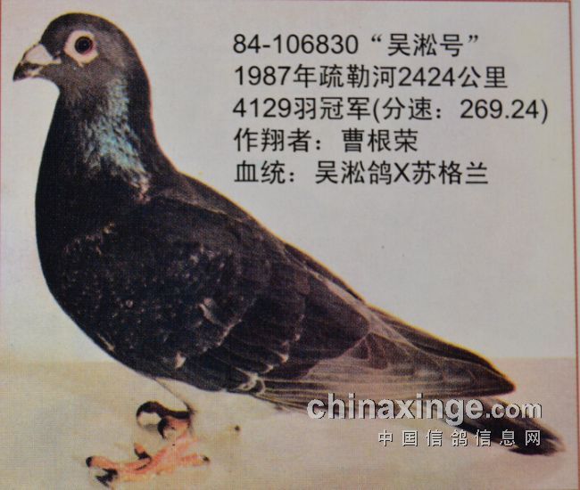 Զ̵ĸ߹ʱ Ϻ-պ2400