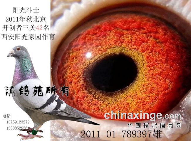 ��������еĳɱ�����