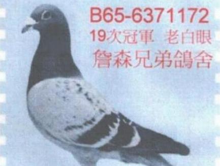 ÿһ룺19ιھ֮ղɭϰۡ